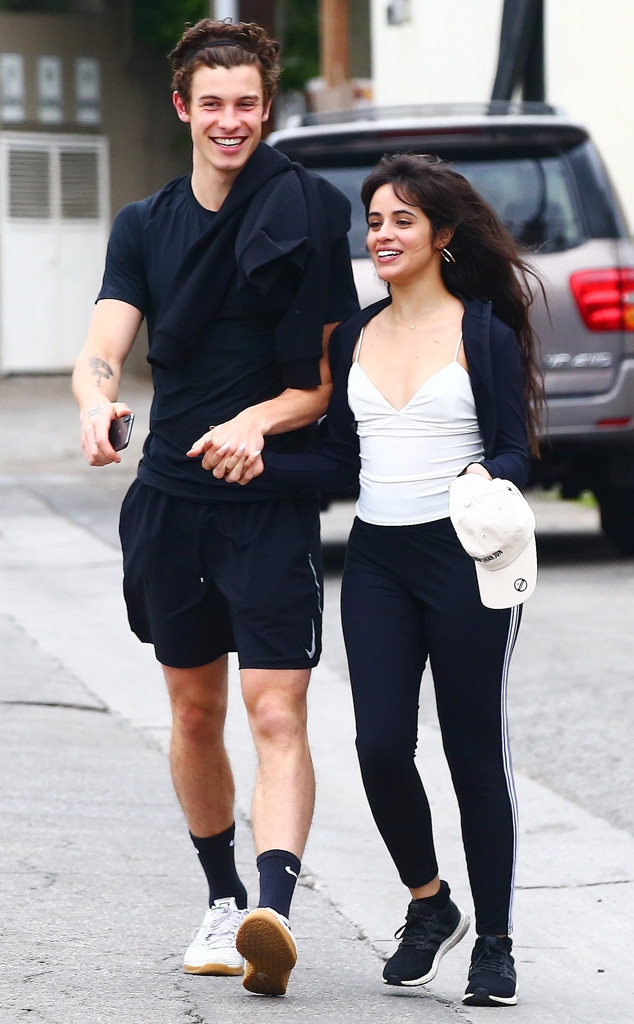 Camila Cabello And Her Family Fangirl Over Shawn Mendes At Concert E Online